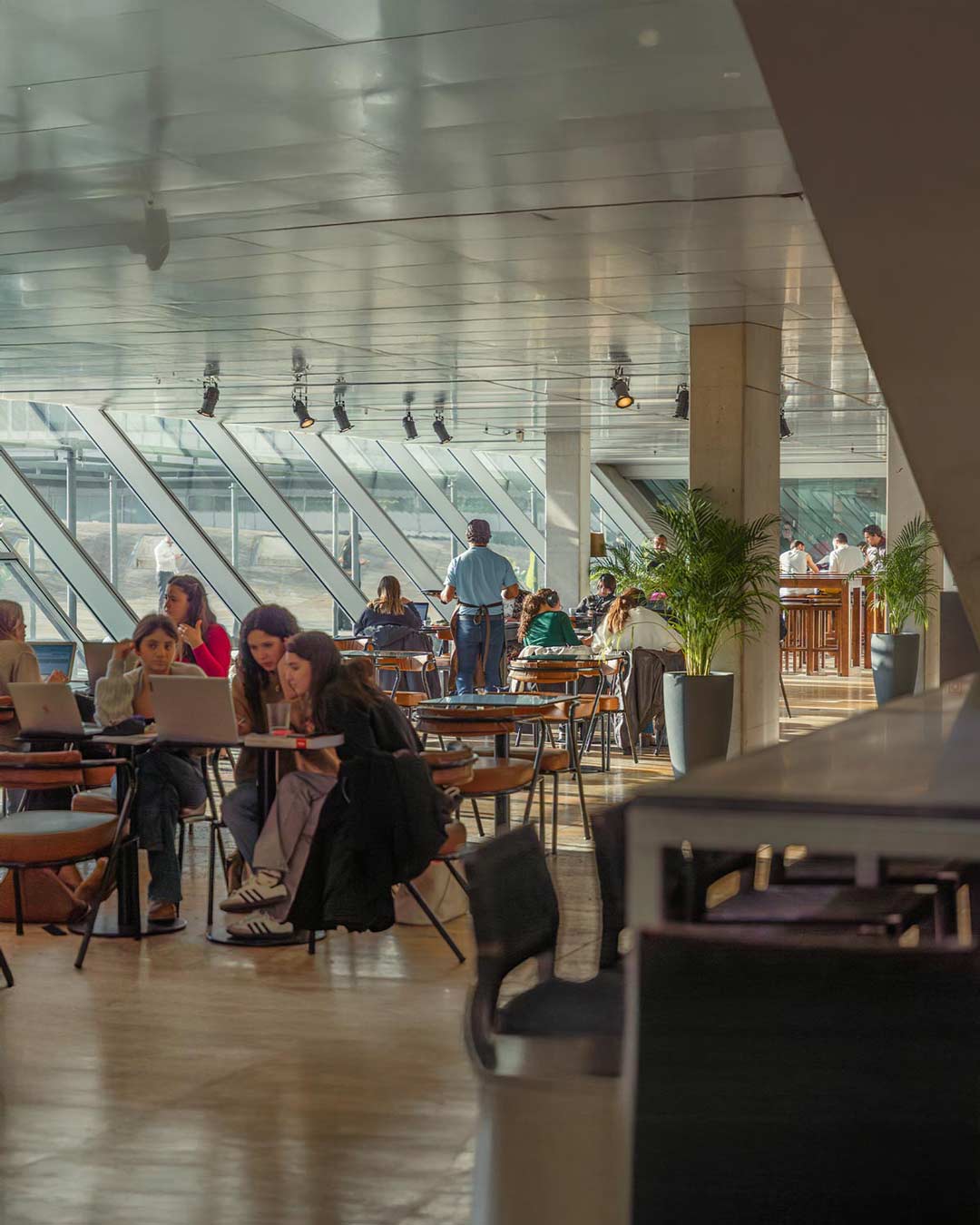 Interior do café da Casa da Música com plantas no enquadramento, clientes sentados e empregados em movimento, iluminado por luz natural suave.