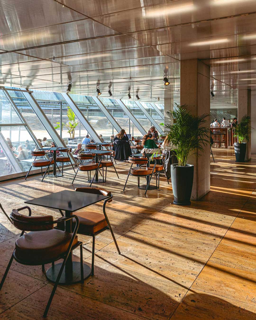 Vista ampla da entrada do café da Casa da Música, com muito sol a entrar pelas janelas, plantas decorativas, clientes a chegar e ambiente acolhedor.