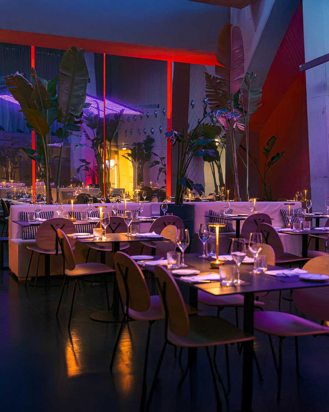 Interior do restaurante da Casa da Música à noite, com luz ambiente suave, mesas preparadas e atmosfera com plantas e luz atmosférica.
