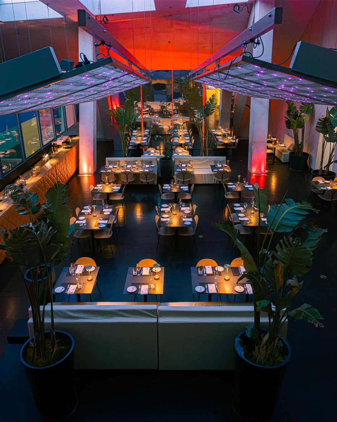 Vista superior do interior do restaurante da Casa da Música à noite, com plantas, luz ambiente e mesas preparadas para receber os clientes.